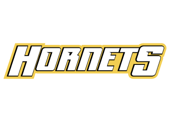 Big Lake Hornets Fastpitch